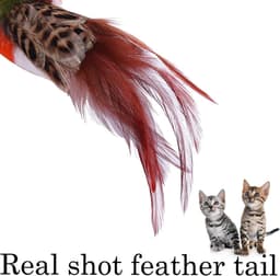 Kattenspeelgoed realistische vogel kitten achtervolging bengelend speelgoed zachte veer handgemaakte imitatie mus simuleer papegaai stimuleert huisdierinstincten (groen) — thumbnail 1
