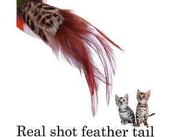 Kattenspeelgoed realistische vogel kitten achtervolging bengelend speelgoed zachte veer handgemaakte imitatie mus simuleer papegaai stimuleert huisdierinstincten (groen)