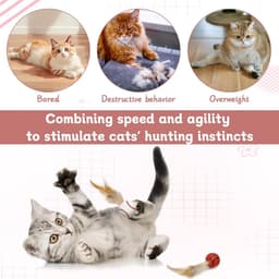 6 stuks springende kattenbal met veer, interactief kattenspeelgoed, veer, springballen voor katten, springballen voor interactief, training, jagen, slaan — thumbnail 5