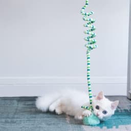 zalati Interactieve kat speelgoed zachte pluche met bellen opknoping bungee koord voor indoor kat speelplezier - blauw — thumbnail 5
