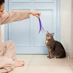 10 stuks kattenspeelgoed, vervanging kattenspeelgoed, wormen, vervangingen, navulling, interactief kattenspeelgoed, kittenstok, navulopzetstuk voor katten, kittens — thumbnail 2