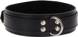 Taboom - Heavy D-Ring Collar - Bondage / SM Collar and leash Zwart — thumbnail 1