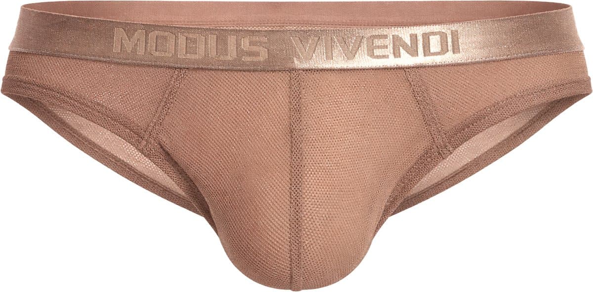 MODUS VIVENDI Mesh Through Classic Brief Skin - MAAT XL - Erotisch Heren Ondergoed - Slip voor Man - Sexy mannen Slip — afbeelding 1