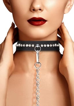 Diamond Studded Collar with Leash — thumbnail 1
