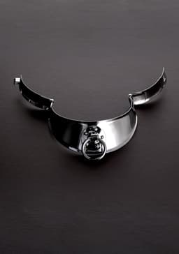 Locking Men's Collar with Ring (15") — thumbnail 1