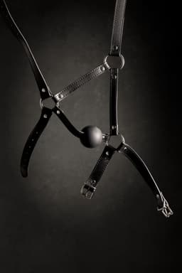 Hoofdharnas met Solid Ball Gag - Zwart — thumbnail 11