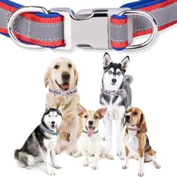 Dailygoods- Halsband Reflecterend - Verstelbaar - Hondenhalsband - Zacht Neopreen - Roestvrij Staal - Geschikt voor kleine/medium/grote honden (hals 26-42cm) — thumbnail 4
