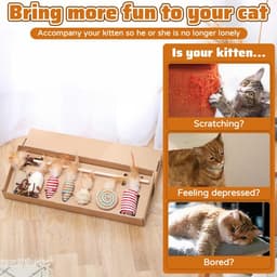 7-delige kattenspeelgoedset — thumbnail 5