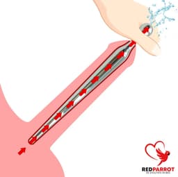 Urethra Dilator Penis Plug - RVS - Van Smal naar Breed - Medical Play Tool — thumbnail 1