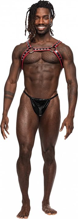 Male Power 596266BR1S - Leo One Size — thumbnail 4