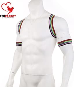 Bondage Harnas Regenboog - Gay - BDSM - Heren - Elastisch — thumbnail 3