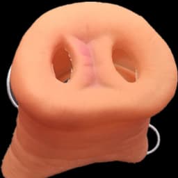 2-delig - Dierenneusmasker - Halloween Cosplayfeest Varkensneus - Geschikt voor Pigsy-personagespel - Huidskleur — thumbnail 2