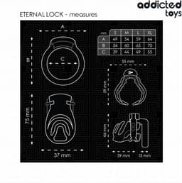 Eternal Lock Penis Cage — thumbnail 4