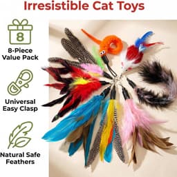 8 stuks kattenspeelgoed veer, interactief veerkattenspeelgoed voor huiskatten, reserveveren en accessoires voor kattenvissen, veelzijdig veerspeelgoed voor huiskatten — thumbnail 2