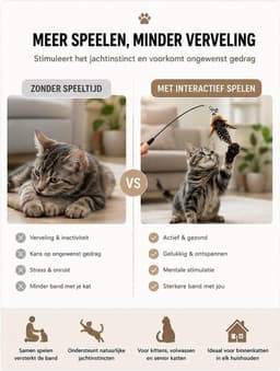 Assembly Katten Hengel Speelgoed – Interactief Kattenspeelgoed Set — thumbnail 4
