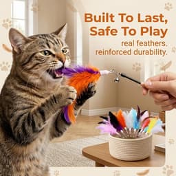 10 stuks kattenhengelreserveren, kattenveerspeelgoed van natuurlijke veren, veer kattenhengelhanger voor interactief spel, beweging en binding, voor kittens, volwassen en oudere katten — thumbnail 2