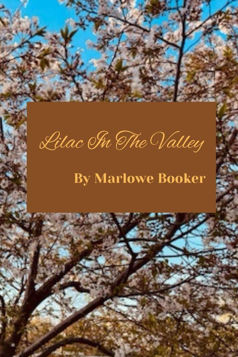 Lilac in the Valley: A Novel of Romance and Love — afbeelding 1