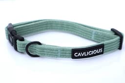 X-TRA Corduroy Collar — thumbnail 3