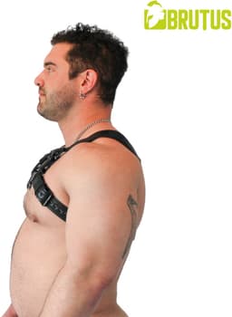 Brutus Vegan Bulldog Harnas - Zwart - Maat L/XL — thumbnail 3