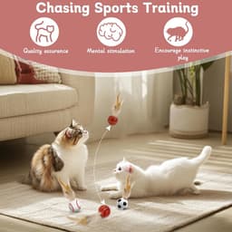 6 stuks springende kattenbal met veer, interactief kattenspeelgoed, veer, springballen voor katten, springballen voor interactief, training, jagen, slaan — thumbnail 3