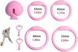 Keursheidskooi met 4 Ringen en 2 Sleutels — thumbnail 2