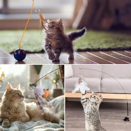 6 stuks kattenveren speelgoed met belletjes, kattenspeelgoed met veer, vervangende vullingen met bellen, sporter speelspeelgoed voor kitten of kat — thumbnail 5