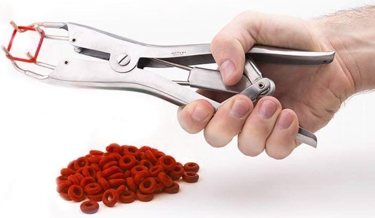 Black Label - Elastrator - Tepel Martel Instrument — afbeelding 1
