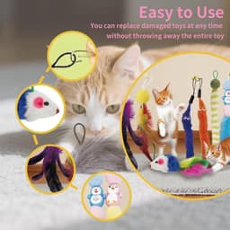 Kattenspeelgoedset met veren, 15-delige interactieve kattenhengelaccessoires met reserveonderdelen, muizen en linten voor huiskatten — thumbnail 3