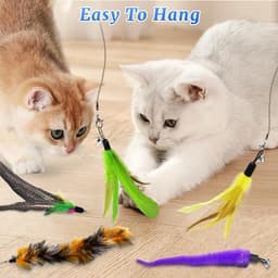 14-delige kattenveer teaserset, interactief kattenspeelgoed met 2 intrekbare kattenhengels en 12 stuks vervangingsspeelgoed voor binnenkatten en kittens, oefening, spelen, plezier — thumbnail 5