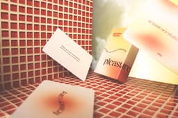 Pleasure Society - Pleasure Cards - Kaartspel - 53 kaarten - Engels — thumbnail 6
