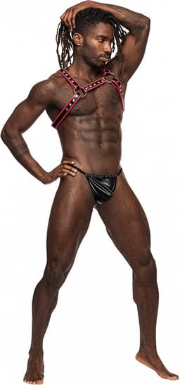 Male Power 596266BR1S - Leo One Size — thumbnail 2