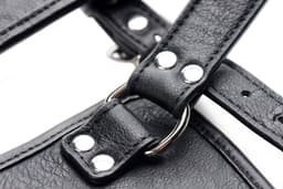 Master Series Ass Holster Buttplug Harnas — thumbnail 2