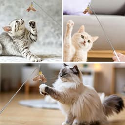 Interactieve kattenhengel met schaalbare stangen, kattenspeelgoedstaaf met veren voor kittens of katten — thumbnail 5