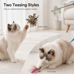 Kattenhengelset met roestvrijstalen telescoopstang en 3 hangers, flexibele kattenhengel met veer, insectenspeelgoed en katoenen touw, interactief kattenspeelgoed voor huiskatten — thumbnail 3