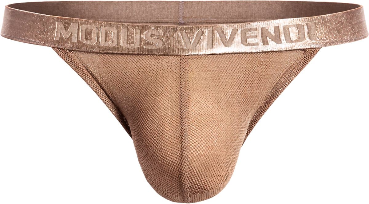 MODUS VIVENDI Mesh Through Tanga Brief Skin - MAAT S - Erotisch Heren Ondergoed - Slip voor Man - Sexy mannen Slip — afbeelding 1