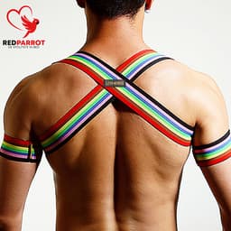 Bondage Harnas Regenboog - Gay - BDSM - Heren - Elastisch — thumbnail 4