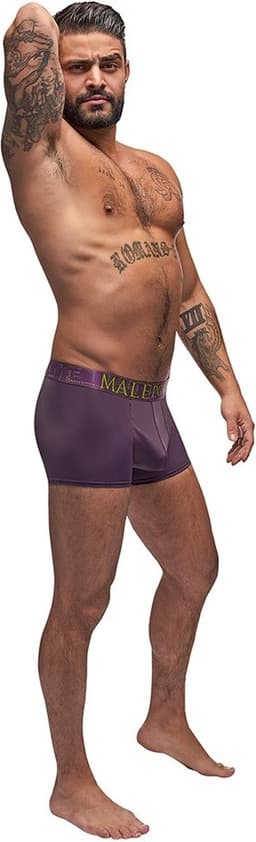 Male Power Avant-Garde - Verstrakkend Short eggplant L — thumbnail 5