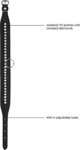 Diamond Studded Collar with Leash — thumbnail 5