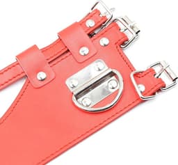 Nooitmeersaai - Rode halsband met ball gag en riem — thumbnail 2