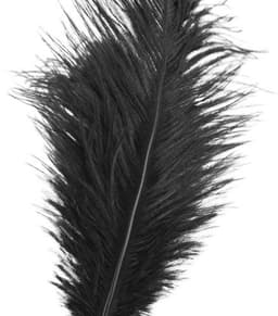 Nooitmeersaai - Kietelaar met veren - Veren/metaal - Zwart/goud - 23cm — thumbnail 2