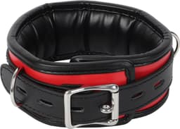 Banoch - Collar & leash Silver - Halsband en Riem - Zwart / Rood met zilver — thumbnail 7