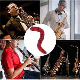 Saxofoon Reiniger - Houtblaas Accessoire - Instrument Onderhoud - Flexibele Reiniging - 30 x 3 cm - Niet gespecificeerd — thumbnail 4
