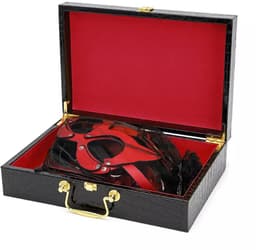 Dare to Undress – Fifty Shades of Grey – Luxe 8-delige BDSM Set met Opbergkoffer – Premium – BDSM Bondagesets - Valentijn Cadeau - Handboeien, Halsband, Masker, Gagbal & Zweep - Sex Toys voor Koppels - Seksspeeltjes voor mannen en vrouwen - Kinky — thumbnail 10