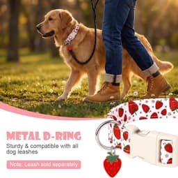 Hondenhalsband Verstelbaar,Zachte Voering, D-ring gesp,S — thumbnail 3