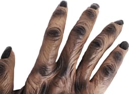 Handschoenen realistische griezelige spookhandschoenen zombie handschoenen accessoires — thumbnail 2