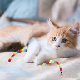 Toverstaf voor katten, vervanging, navulaccessoires voor kattenstok, regenboog-1 — thumbnail 5