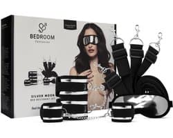 Secret Pleasure Chest - Zilver - Unieke beleving - Voor verrassende momenten - ShopVlot