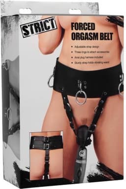 Forced Orgasm Harnas — thumbnail 3