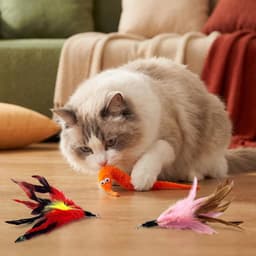 8 stuks kattenspeelgoed veer, interactief veerkattenspeelgoed voor huiskatten, reserveveren en accessoires voor kattenvissen, veelzijdig veerspeelgoed voor huiskatten — thumbnail 5