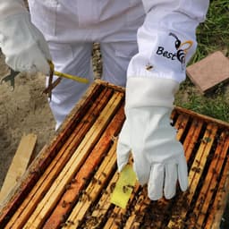 Best Bee Bijenteelthandschoenen van geitenleer met geventileerde stoffen mouwen, ademend en dik, imker handschoenen - ShopVlot — thumbnail 4